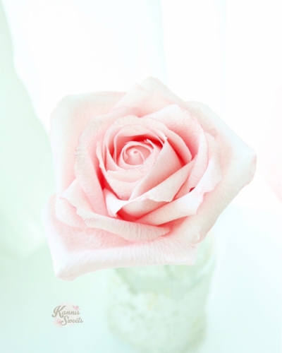 I loved and got interested in flower making since teenagers, my first attempt to making cold porcelain flowers. After graduating with a Tourism Management degree, I followed my career path in media and aviation industry. 